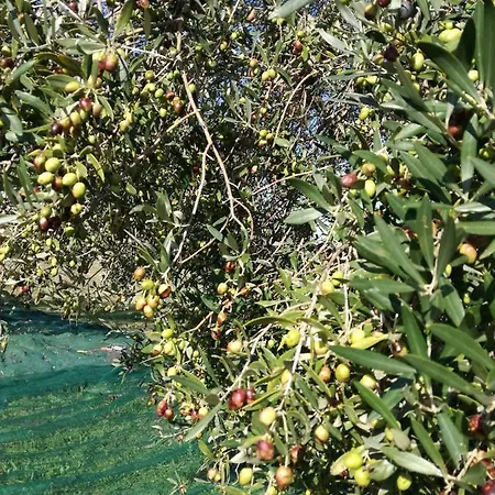 Romantic Loft Apartment Pitigliano