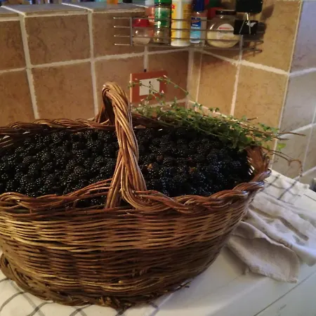 Apartament Romantic Loft Pitigliano