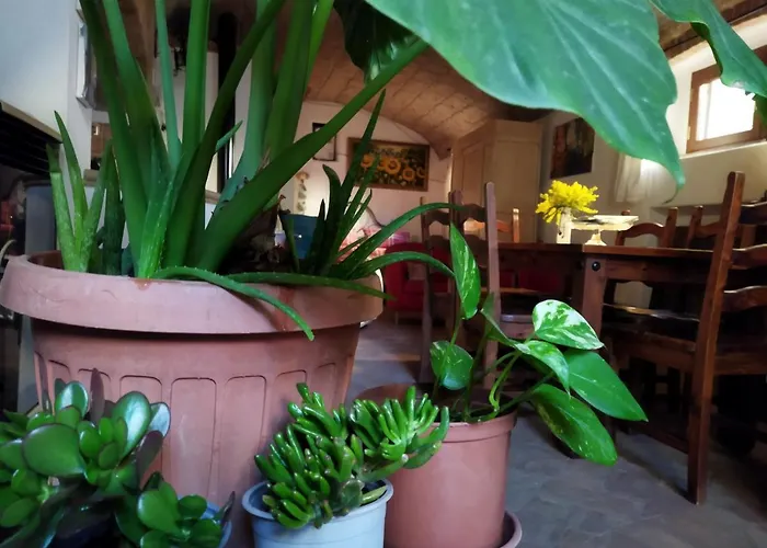 Apartment Romantic Loft Pitigliano